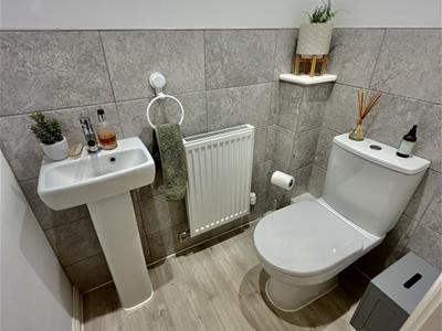 Picture 20